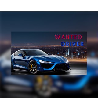 Wanted Driver Steam Key GLOBAL